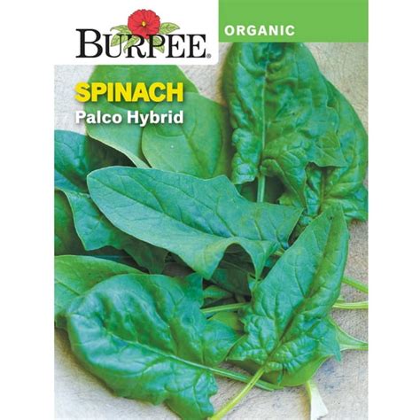 Burpee Organic Palco Hybrid Spinach Vegetable Seed 1 Pack Walmart