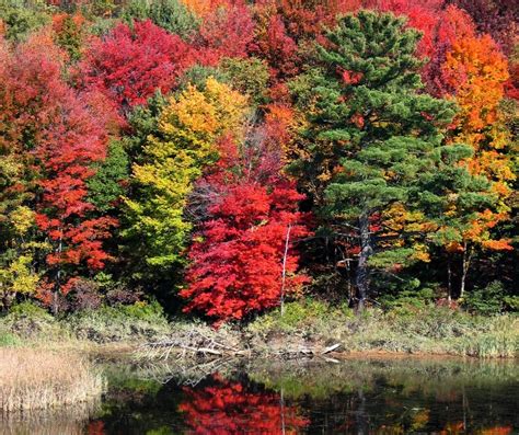 Autumn Season Bing Images Soooo Beautiful