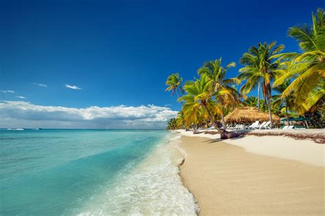 Punta Cana Dominican Republic Attractions Love 2 Fly