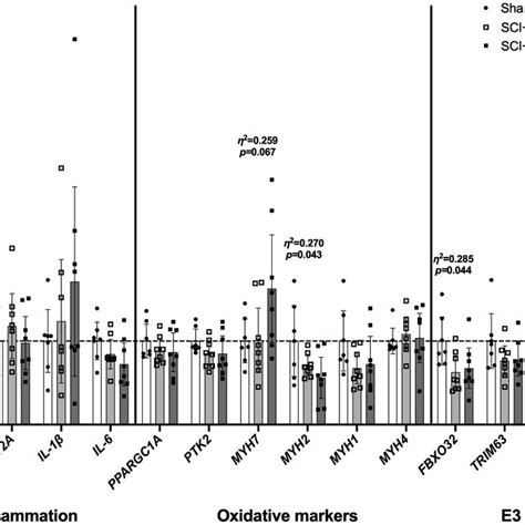 Gastrocnemius Mrna Expression Of Wellknown Genes Associated With