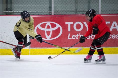 Harbin at this time of the year? Haynes Pavilion and Ressler Motors Ice Rink (Bozeman ...