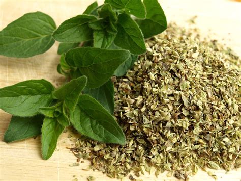 Oregano For Chickens Natural Poultry Antibiotics Grit