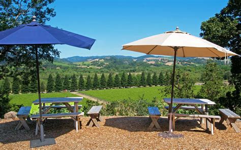 15 Best Sonoma Wineries With Beautiful Views