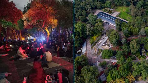 Regresan Los Picnics Nocturnos Al Jardín Botánico De Chapultepec Días Horarios Y Todo Lo Que