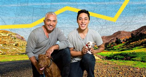 Cesar Millan Rescues Rehabilitates And Spotlights In Nat Geos Dog