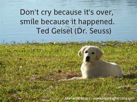 Quotes About Pet Loss 61 Quotes