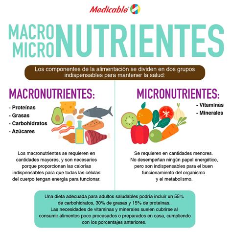 Micro Nutrientes Y Macro Nutrientes Medicable