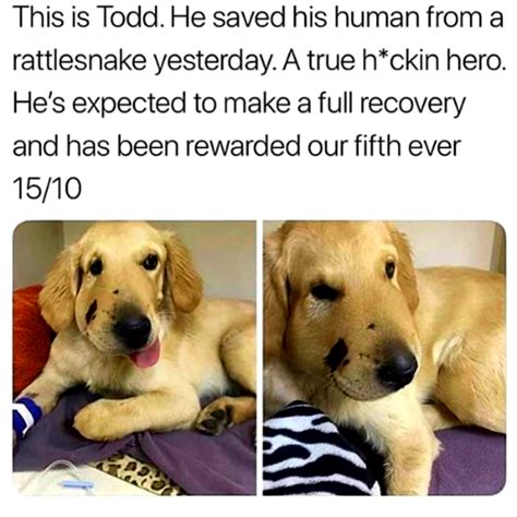 Get Well Soon Todd Rwholesomememes Wholesome Memes Know Your Meme