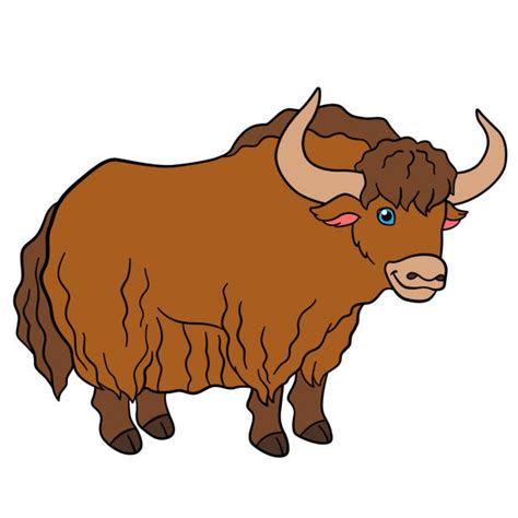 Best Yak Clipart Illustrations Royalty Free Vector Graphics And Clip Art