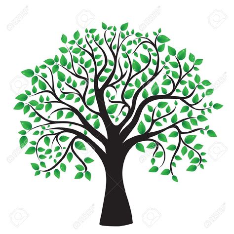 Free Free 98 Vector Family Tree Svg Free SVG PNG EPS DXF File