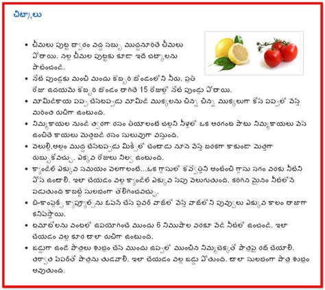 Telugu Web World Darling Daily Chitkalu In Telugu