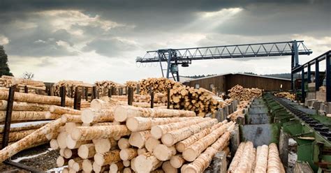 New Lumber Mill Will Employ 110 In Pike County