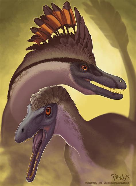 Velociraptor Pair By Mirroreyesserval On Deviantart