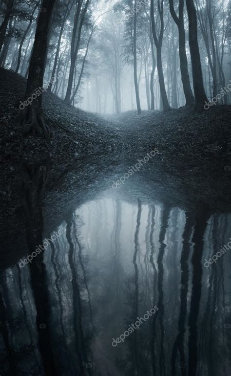 Lake In Dark Forest With Mysterious Fog — Stock Photo © Photocosma