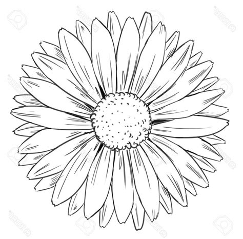 Drawing Sunflower Line Drawing ... | Sunflower drawing, Sunflower sketches, Flower drawing