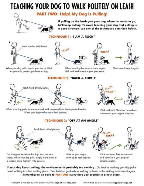 True Dog Training Tips Important Source Loose Leash Easiest Dogs To