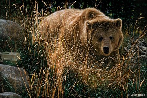 Bear Paintings Bear Art Prints Black Bear Artwork Grizzly Bear Artist