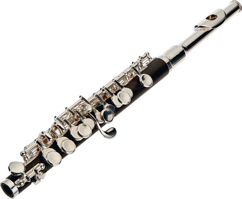 Roy Benson Rbpc502 Advanced Piccolo Musical Instruments
