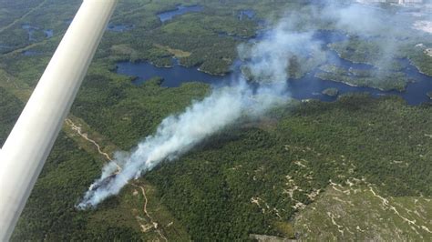 Nova Scotia Forest Fire Risk Remains High Thus No Burn Order Remains