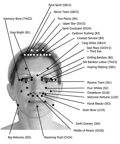 this facial acupressure chart shows all the acupressure points located on the face and on the