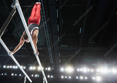Male Gymnast On Parallel Bars Stock Image F0175171 Science Photo