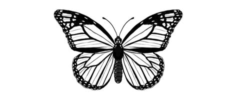 Check spelling or type a new query. Butterfly Drawing Design in 2020 | Wall paint designs ...