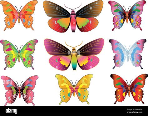 Set Of Different Multicolored Butterflies Vector Stock Vector Image
