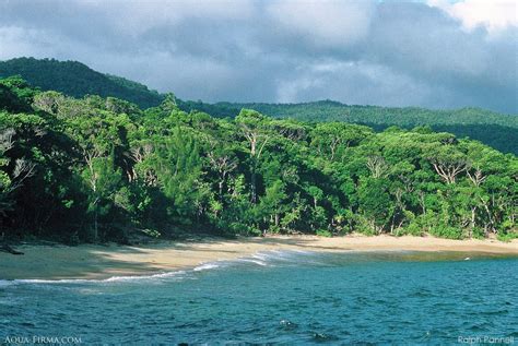 Masoala Rainforest And Marine Reserve Madagascar Aqua Firma Guides