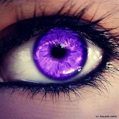 Werewolf Aesthetic Aesthetic Eyes Purple Aesthetic Magic Aesthetic