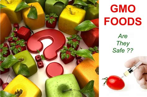 What Are Gmo Foods And What Are Their Pros And Cons