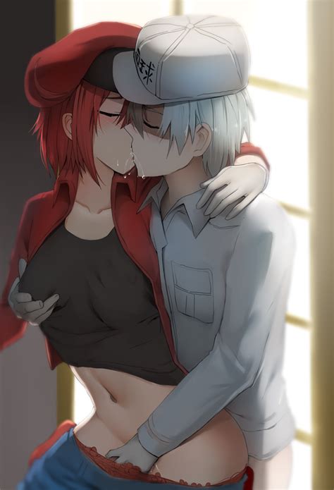 Hataraku Saibou Cells At Work White Blood Cell White Blood Cell Hot Sex Picture