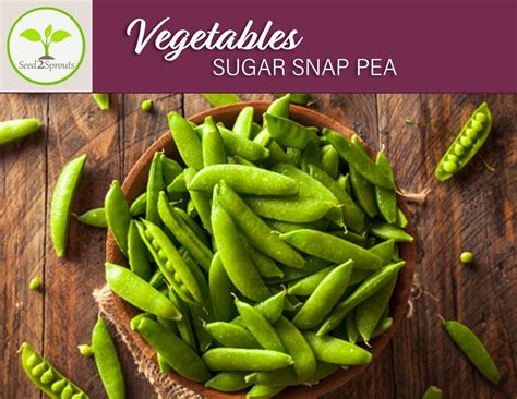 15 Sugar Snap Pea Seeds Vegetable Seeds Heirloom Non Gmo Etsy