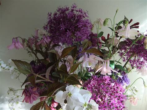 Check spelling or type a new query. Early summer bouquet of english country flowers - allium ...