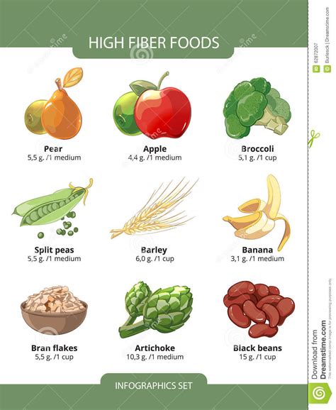 Alto Infographics Di Vettore Degli Alimenti Della Fibra Illustrazione