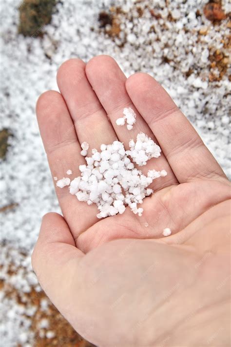 Premium Photo Graupel Snow Pellets Or Soft Hail In Palm On Blurred
