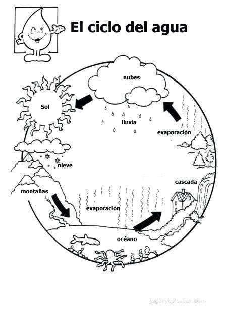 El ciclo del agua no se inicia en un lugar específico, pero para esta explicación asumimos que comienza en los océanos. Actividades Escolares: El ciclo del agua- actividades-