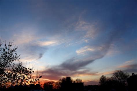 Premium Photo Sunset Sky Clouds Branches And Trees