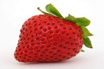 We did not find results for: Can Hamsters Eat Strawberries? Petsy