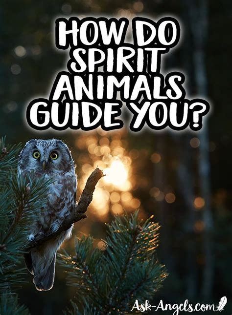 How To Find Out Your Animal Spirit Guides Ask Animal