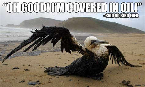 Fossil Fuel Memes Oil Spills Are A Beach Marée Noire Défense Des
