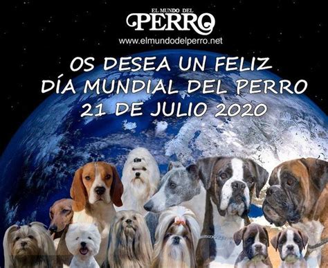 Aunque se desconoce por qué se eligió este día para celebrar al mejor amigo del hombre, se dice que se escogió por el. 21 de julio Día Mundial del Perro | ElMundodelPerro.net