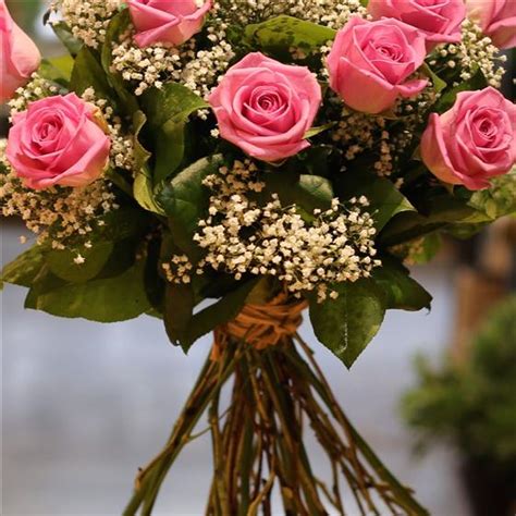 Hedge with a lot of roses. Dozen Long Stemmed Pink Roses The Flower Boutique Florist ...