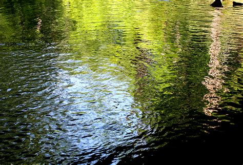 Rippling Emerald Waters Photograph By Virginia Pakkala Fine Art America