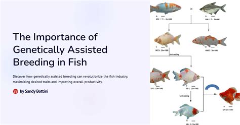 The Importance Of Genetically Assisted Breeding In Fish