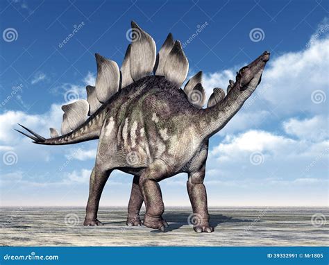 Immagini Di Stegosauro Curiosità Sui Dinosauri Eforst Fiorentini