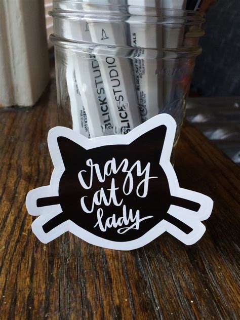 Pack Of 3 Crazy Cat Lady Stickers By Goodmorninglettering On Etsy