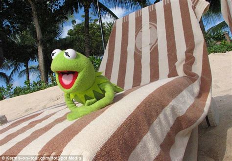 Who Said Its Not Easy Being Green Couple Treats Kermit The Frog To A