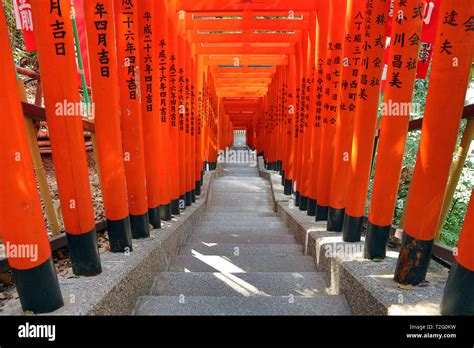 Tunnel Of Red Torii Gates At The Hie Shrine In Asakasa Tokyo Japan