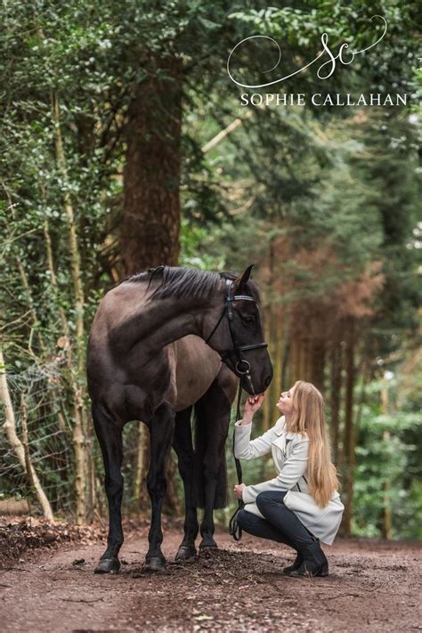 Pin On Equine Photography