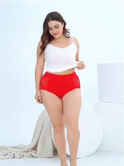 Beizhi Fat Lady Panty Sexy Women Brief See Through Ultra Plus Size Lace